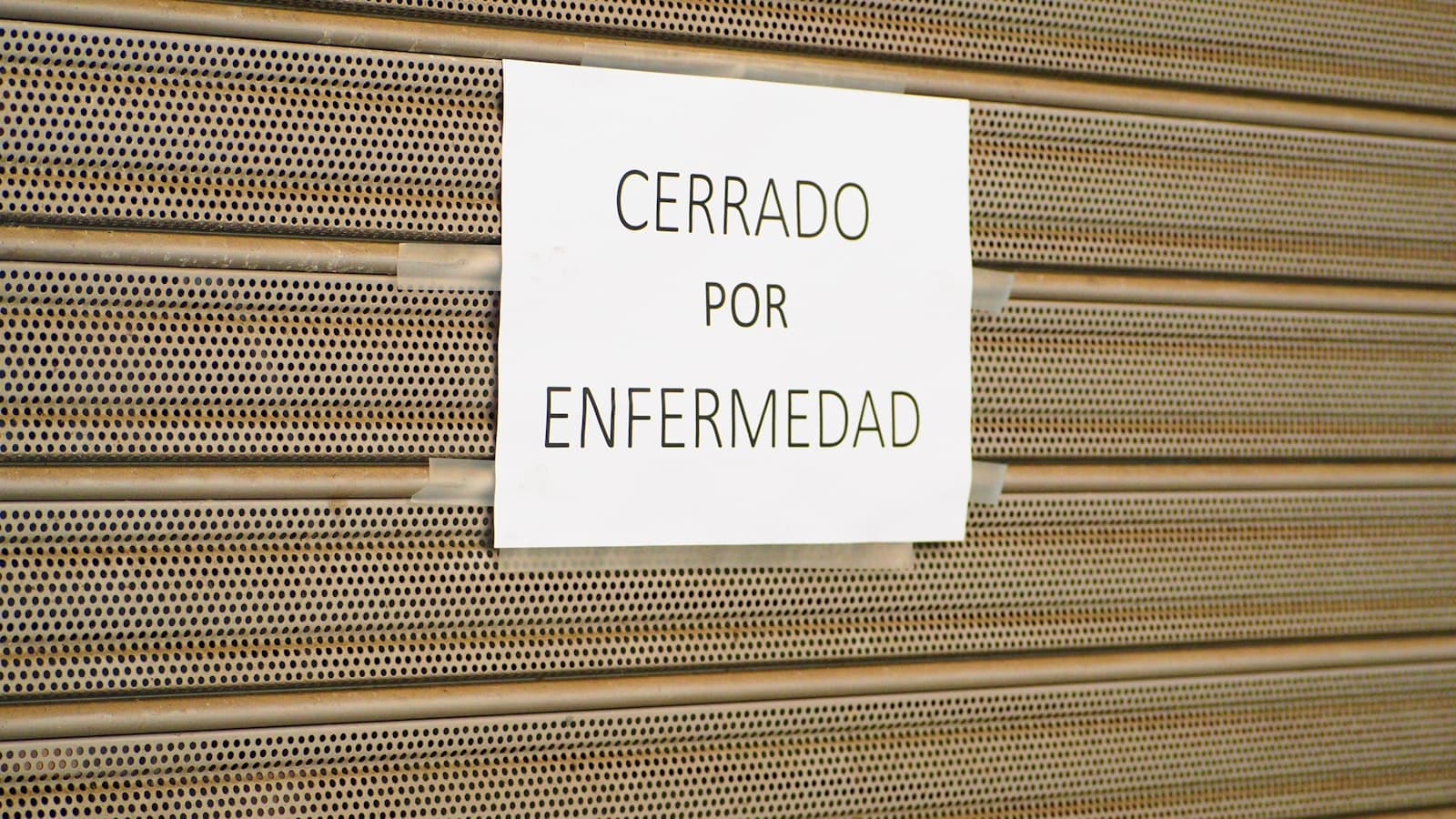 Commercial pest control for Office Pest Control in Kent