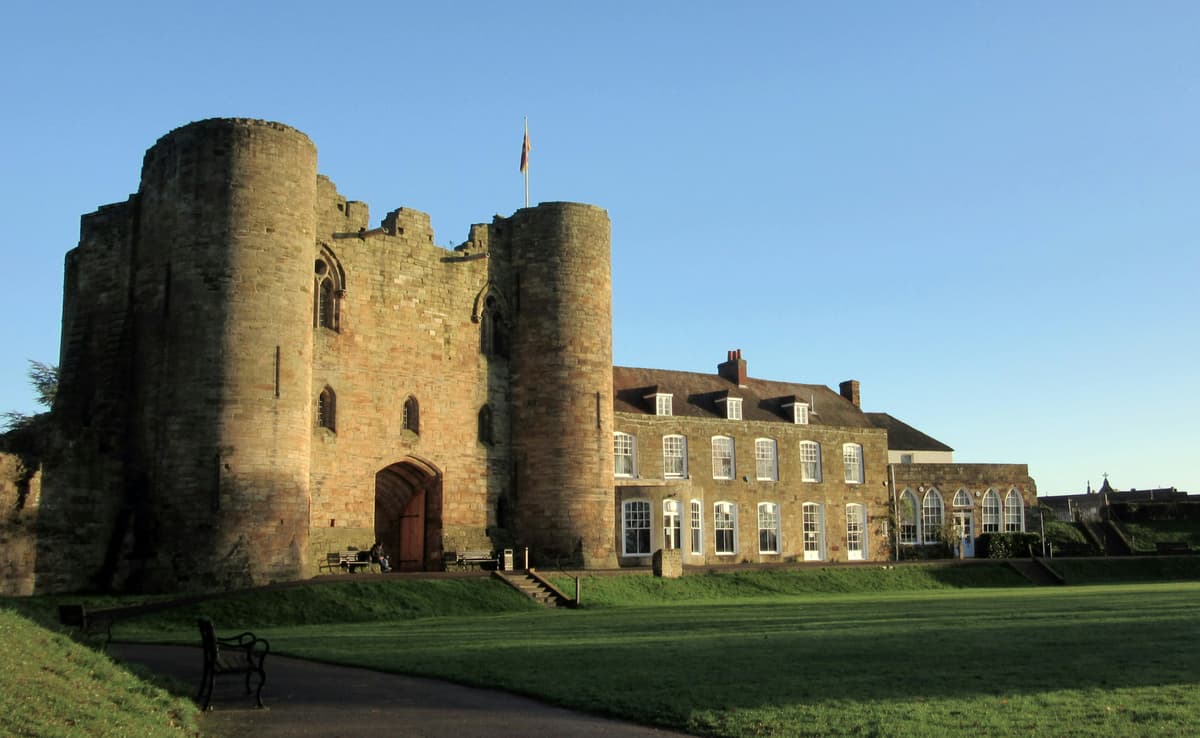 Pest Control in Tonbridge pest control service